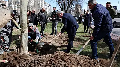 Melikgazi'de ilkbahar ağaç dikimiyle başladı