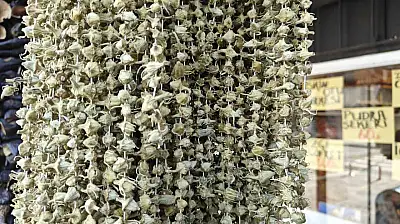 Ramazan'ın gözdesi bamya tezgahlarda