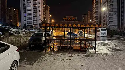 Şiddetli rüzgar, söktüğü kamelyayı bozmadan yola kondurdu