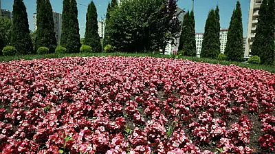 Talas 2026'da rengarenk olacak