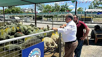 Talas'ta kurban pazarına yoğun ilgi