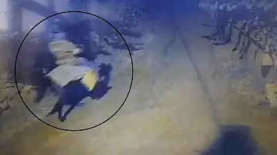 Yaşlı çifti öldürdükten sonra atla kaçan sanığa iki kere ağırlaştırılmış müebbet