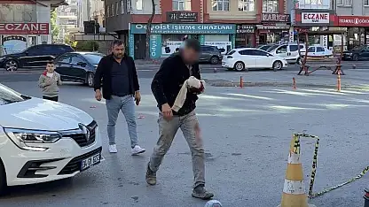 Kayseri'de acemi kasaplar hastaneye koştu