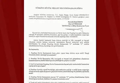 MHP'li Ersoy'dan Pınarbaşı için sağlık hamlesi