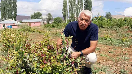 Aronya ile ilçeyi kalkındıracaklar