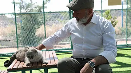 Kayseri'de ilk ve tek küçük dostları Kedi Kasabası, ziyaretçi rekoru kırıyor