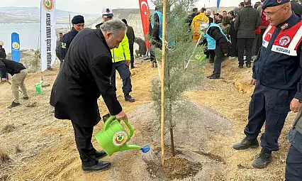 Ali Dağı'nın zirvesine 1111 fidan