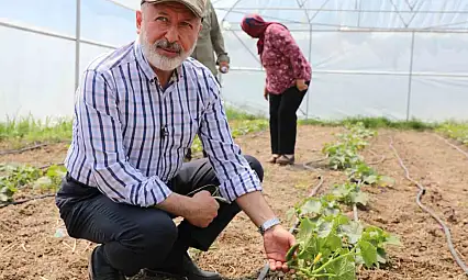 Başkan Çolakbayrakdar: 'Şehrin merkezinde tarım yapıyoruz, Türkiye'ye örnek oluyoruz'