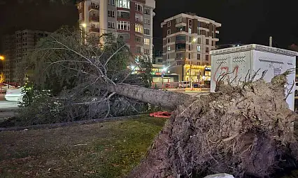 Kayseri'de kuvvetli rüzgar: Ağaç otomobilin üzerine devrildi