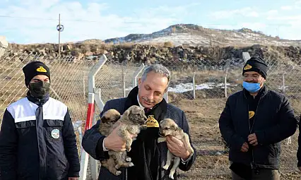 Talas'ta patili dostlara 5 yıldızlı barınma imkanı