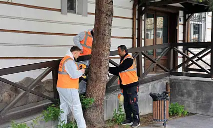 Talas'tan çevre dostu ilaçlama atağı