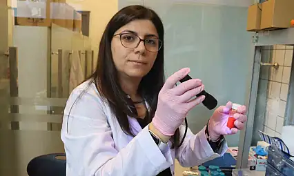 Üzerlik ve sarı kantarondan led ışığı