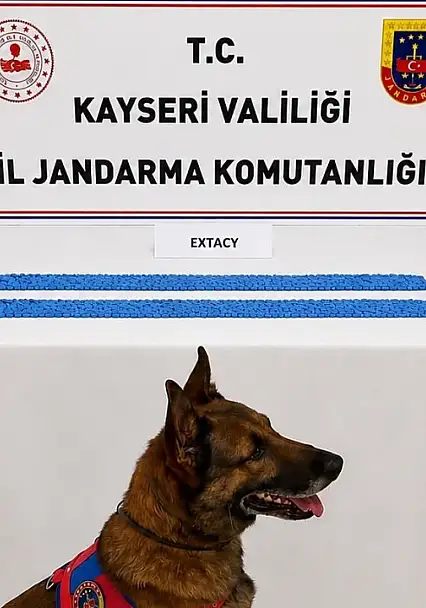 Kayseri'de jandarmadan uyuşturucu operasyonu: 1 gözaltı