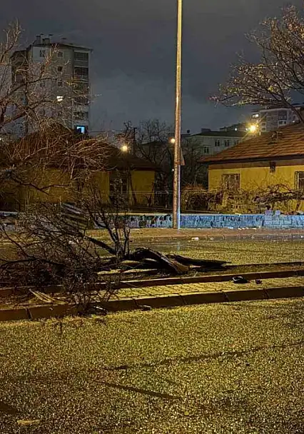 Kaza savrulan otomobil ağacı ikiye böldü: 4 yaralı