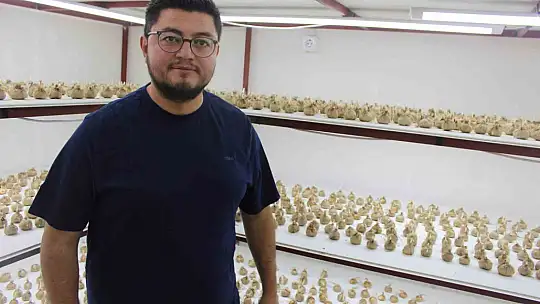 'Kayseri'de yetişmez' denildi, girişimci başardı