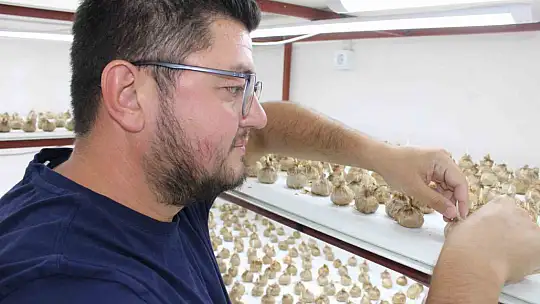 'Kayseri'de yetişmez' denildi, girişimci başardı