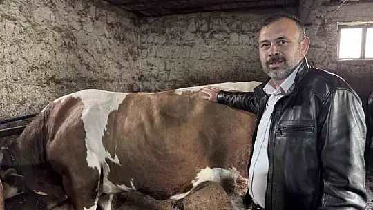 1 tonluk 'Kocaoğlan' alıcısını bekliyor