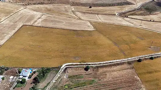 35 yıl kamuda çalıştı, emekli olunca aspir ekimine başladı