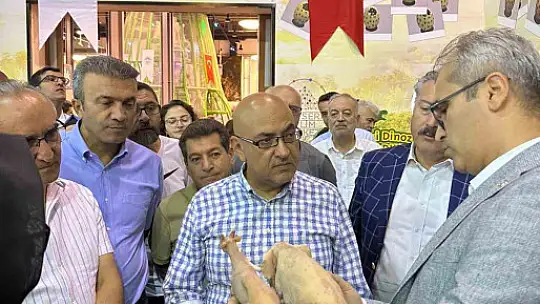 7,5 milyon yıllık fosil çalışmalarında gelinen nokta değerlendirildi