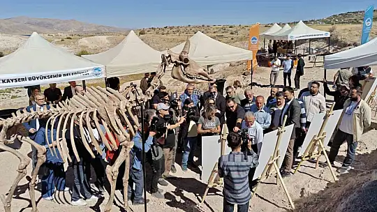 7,7 milyon yıllık kazılarda gelişme: Yeni bir tür olabilir