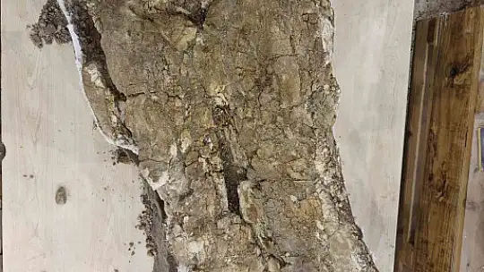 7,7 milyon yıllık tarihe ışık tutan Taşhan'da daha sonraki dönemlerde yaşayan türlerin fosilleri bulundu