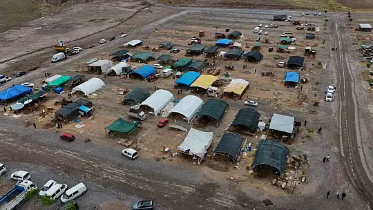 970 kiloluk Minik, pazarın ilgi odağı oldu