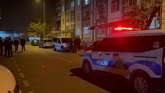 Ablasının acısına dayanamadı, aynı yerden atladı: 1 ağır yaralı