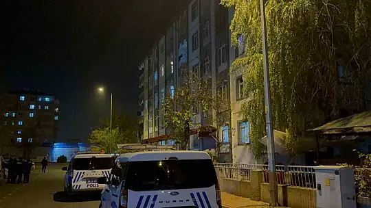 Ablasının acısına dayanamadı, aynı yerden atladı: 1 ağır yaralı