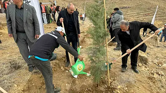 Ali Dağı'nın zirvesine 1111 fidan