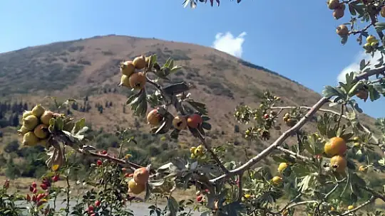 Ali Dağı sonbaharda rengârenk