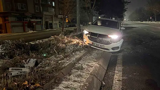 Alkollü sürücü önce ağacı devirdi ardından aydınlatma direğine çarptı