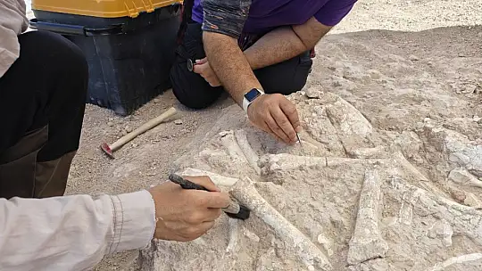 Anadolu'daki yaşam 7,7 milyon yıla ulaştı