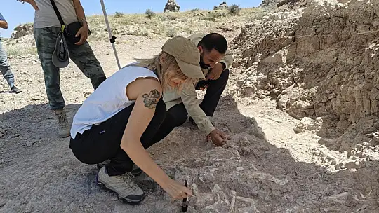 Anadolu'daki yaşam 7,7 milyon yıla ulaştı
