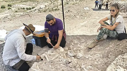 Anadolu'daki yaşam 7,7 milyon yıla ulaştı