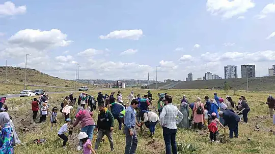 Anaokulu öğrencileri 500 fidan dikti