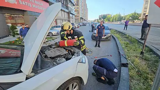 Araçta göründükten sonra kaybolan yılan araç sahibinin evinin önünde ortaya çıktı