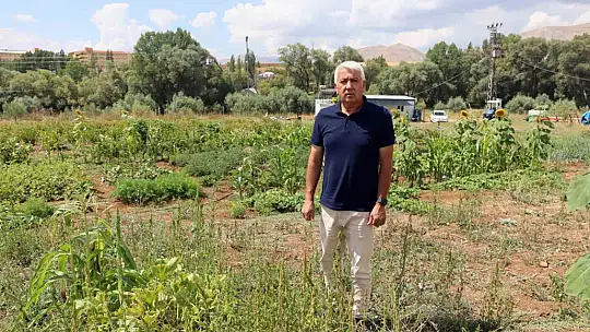 Aronya ile ilçeyi kalkındıracaklar