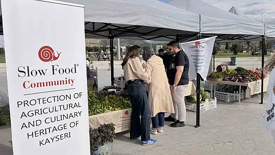 Ata tohumları gelir kapısı oldu