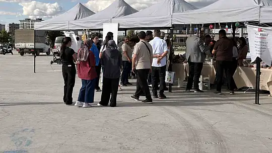 Ata tohumları gelir kapısı oldu