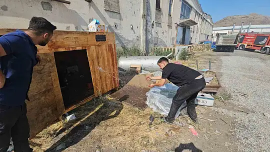 Atık madde yangınında güvercinleri korudular