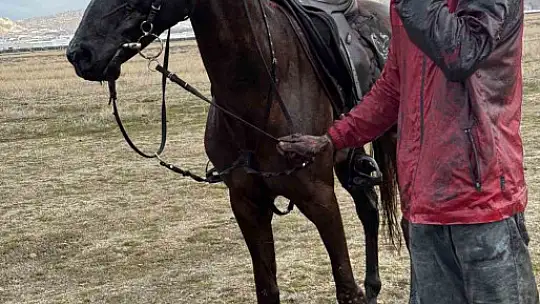 Atla gezi suda bitti