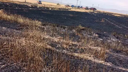 Aynı ilçede bir ekili arazi daha yandı