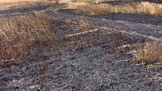 Aynı ilçede bir ekili arazi daha yandı