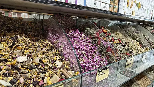 Baharın ilacı 'zencefil'