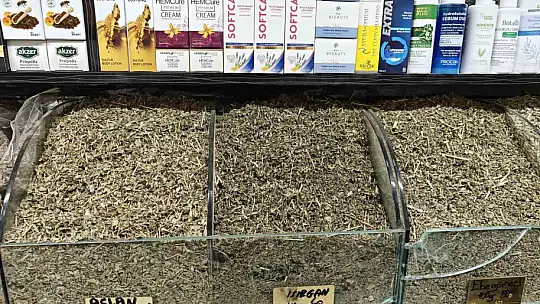 Baharın ilacı 'zencefil'