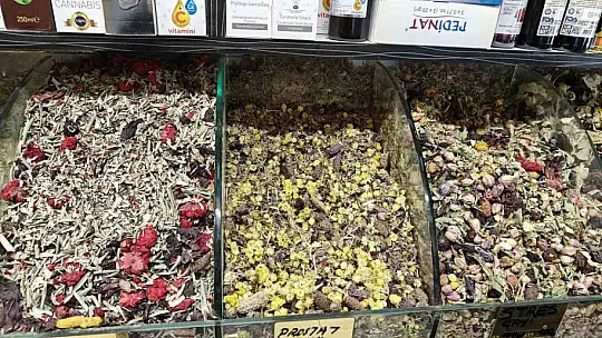 Baharın ilacı 'zencefil'