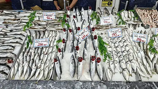 Balık tezgahları şenlendi