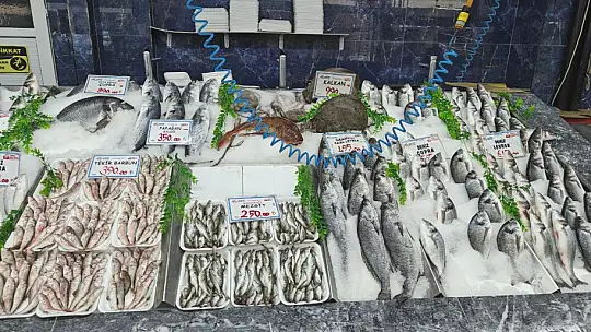 Balık tezgahları şenlendi