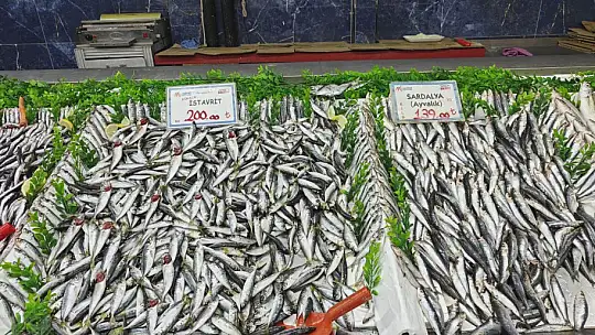 Balık tezgahları şenlendi