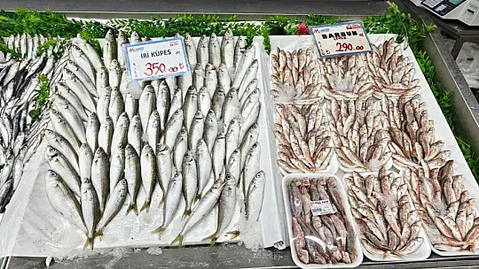 Balık tezgahları şenlendi